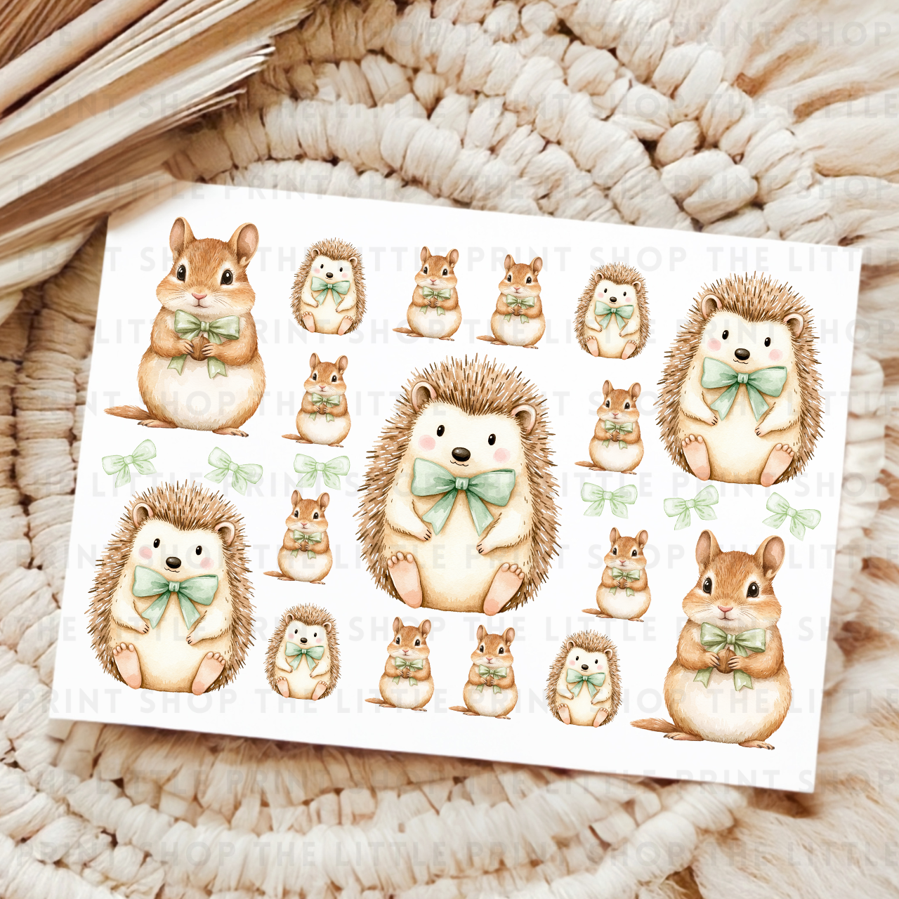 Hedgehog - UV DTF A4 Decal Sheet