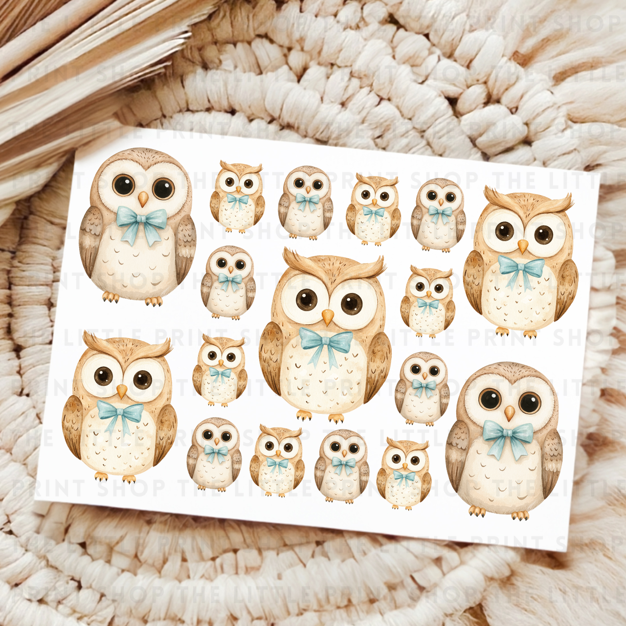 Owls - UV DTF A4 Decal Sheet