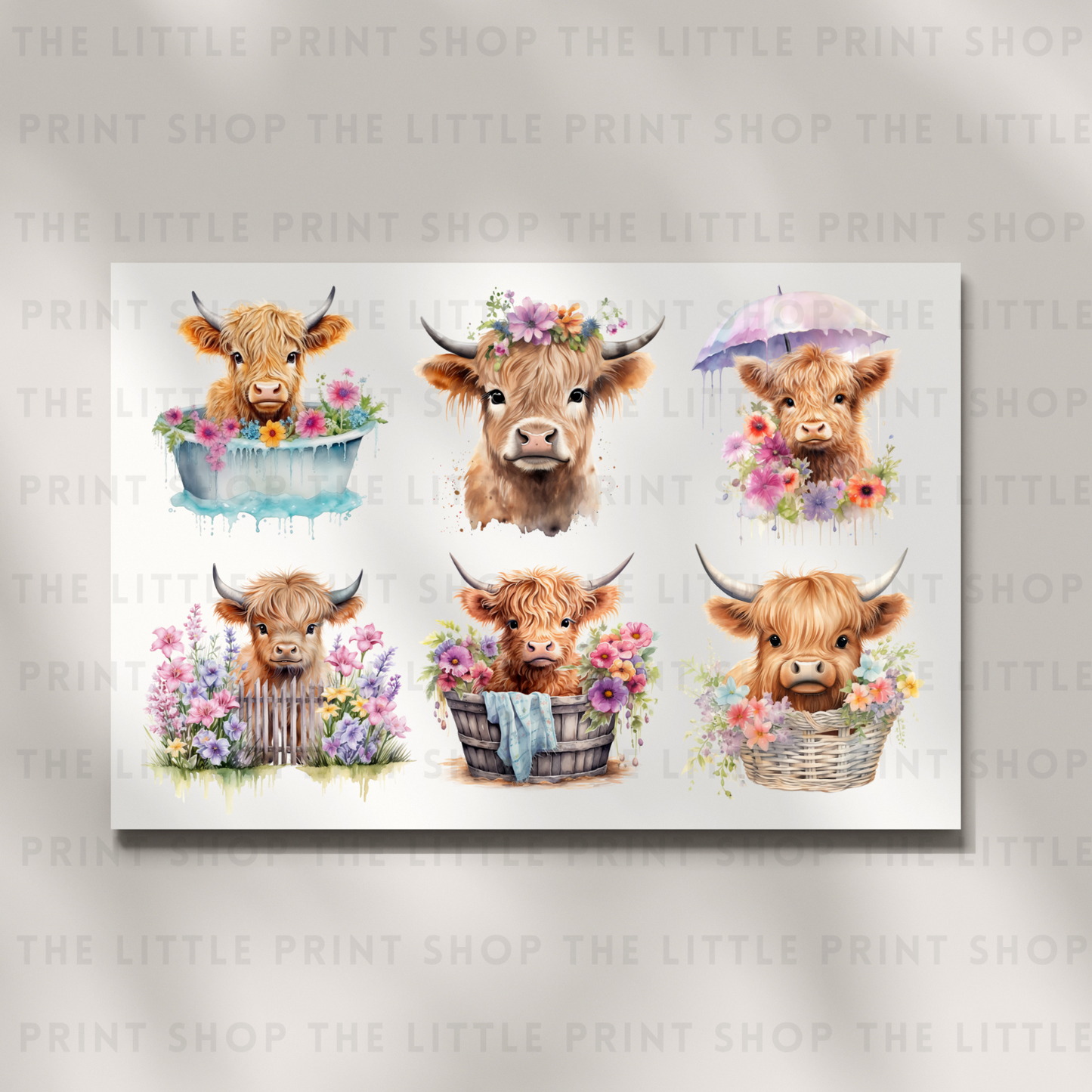 Highland Cows - DTF A4 Transfer Sheet