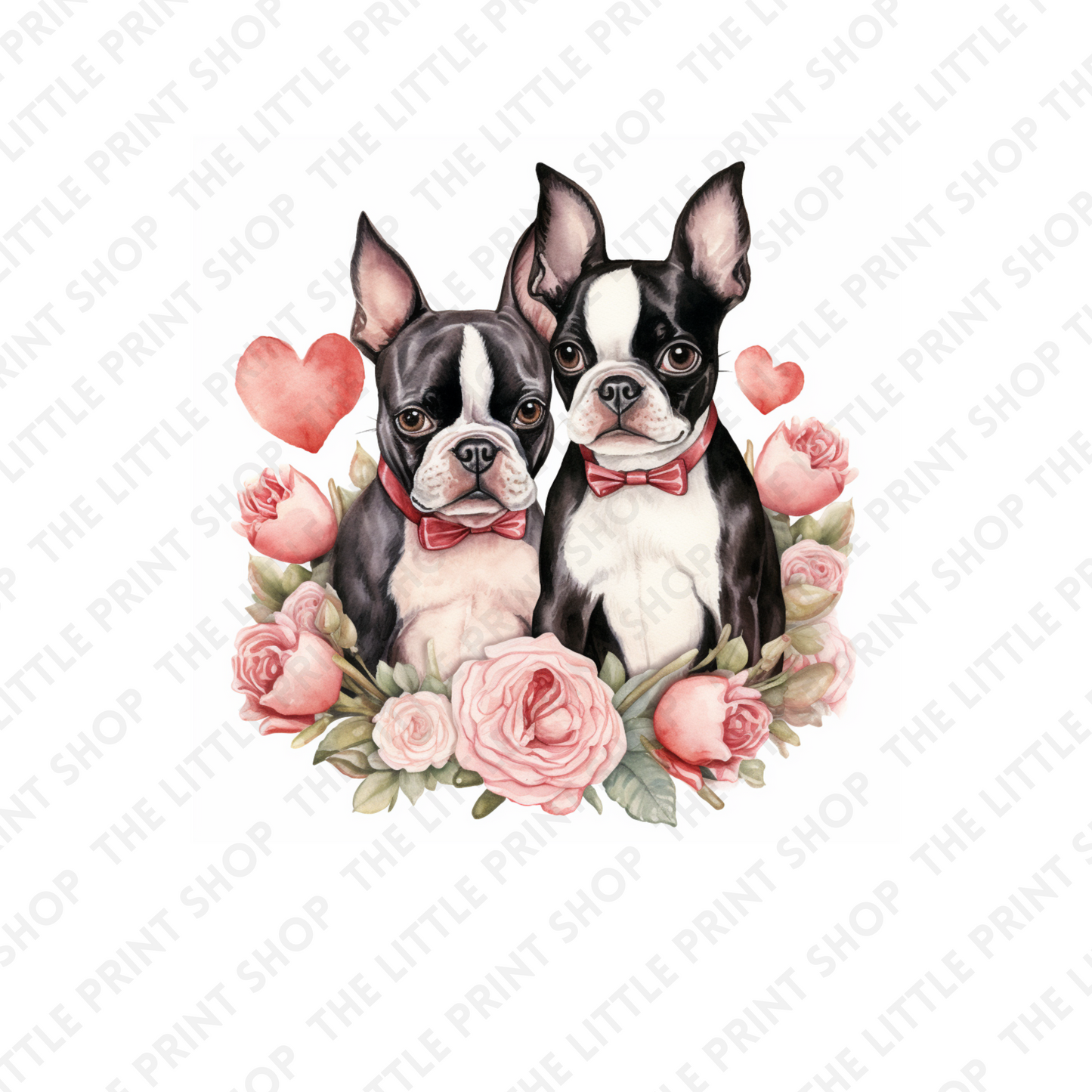 Boston Terriers Duo - UV DTF 3 inch Decals