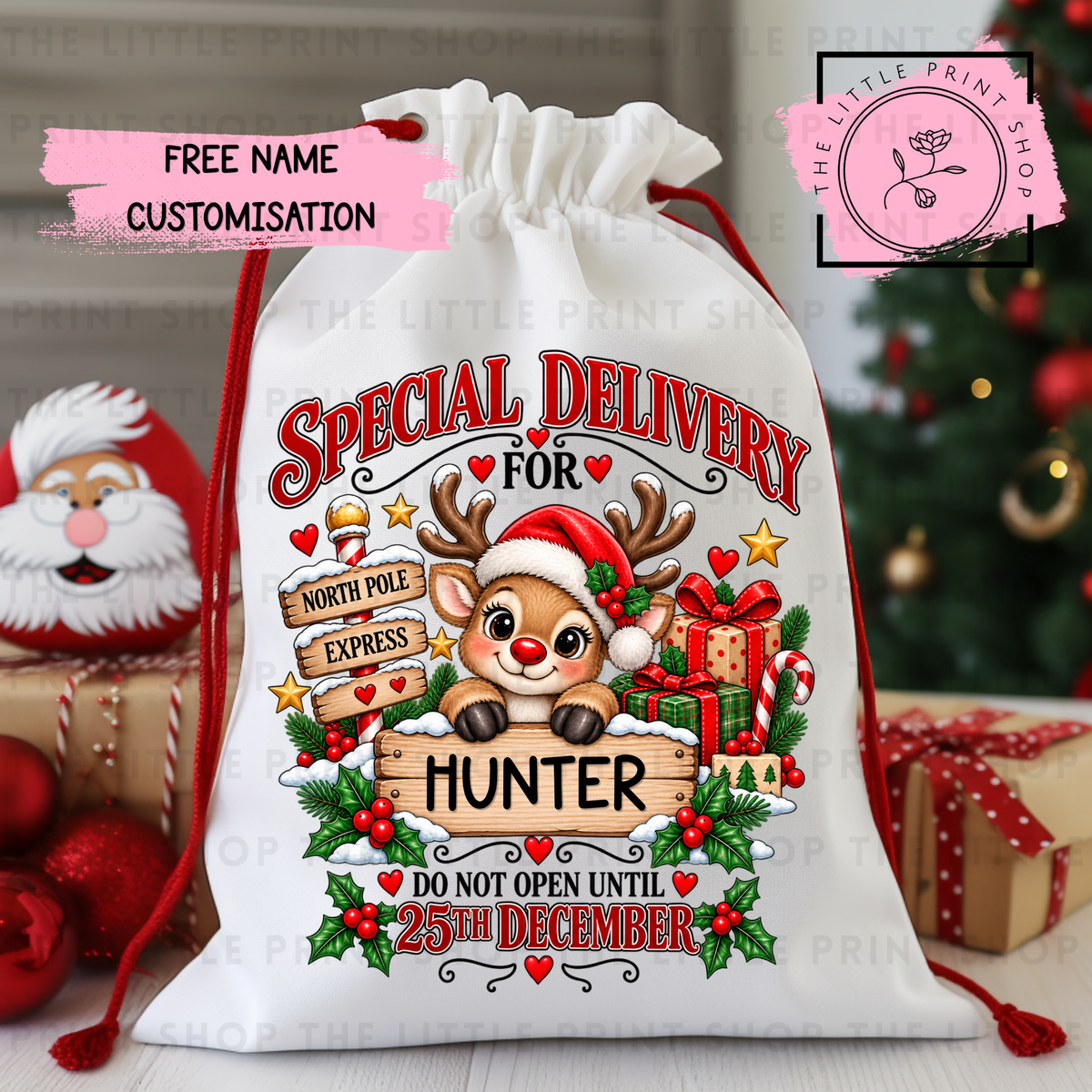 Special Delivery Reindeer - DTF Christmas Sack Transfer