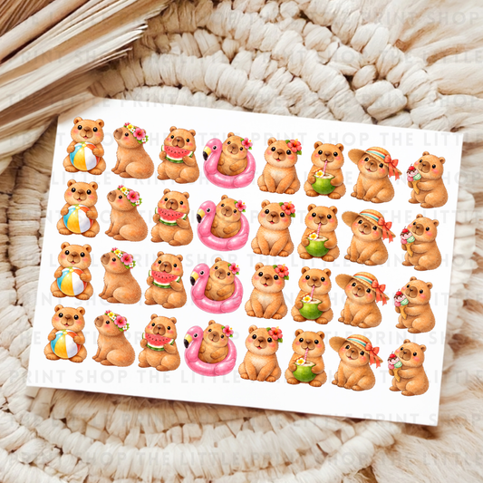 Summer Carbora - UV DTF A4 Decal Sheet