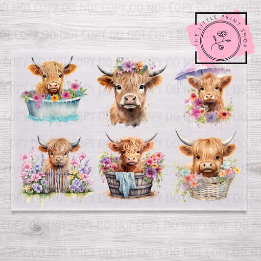 Highland Cows - DTF A4 Transfer Sheet