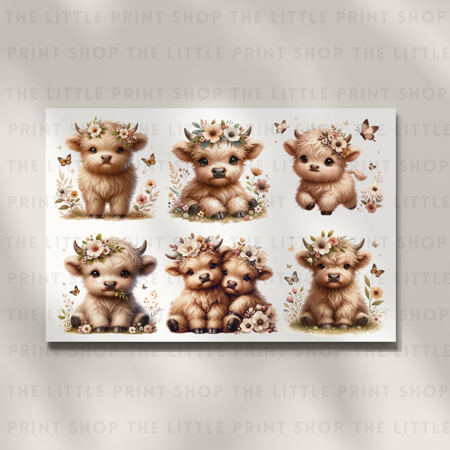 Baby Highland - DTF A4 Transfer Sheet