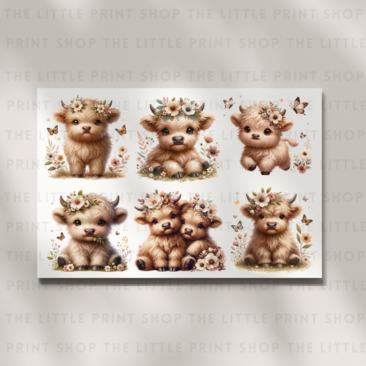 Baby Highland - DTF A4 Transfer Sheet