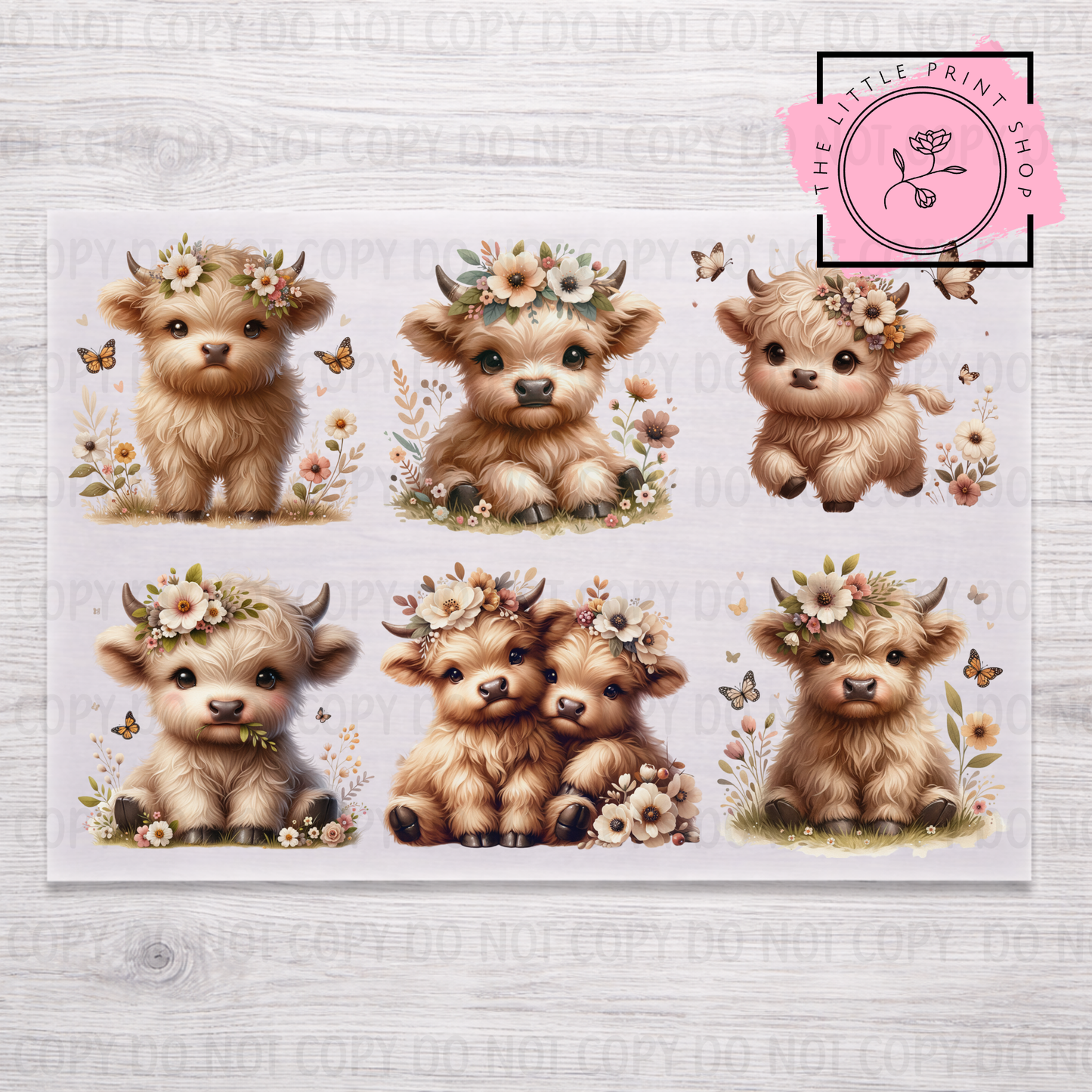 Baby Highland - DTF A4 Transfer Sheet