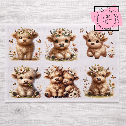 Baby Highland - DTF A4 Transfer Sheet