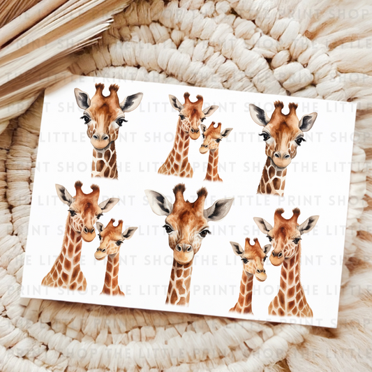 Giraffes - UV DTF 8x6 Decal Sheet