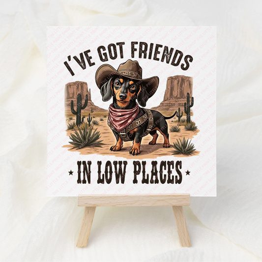 I've Got Friends In Low Places - UV DTF 3 inch Decals