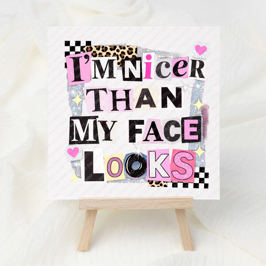 I'm Nicer Than My Face Looks - UV DTF 3 inch Decals