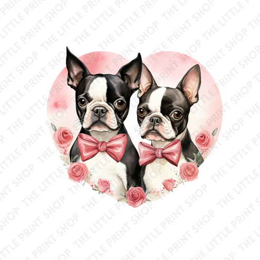Boston Terriers Heart - UV DTF 3 inch Decals