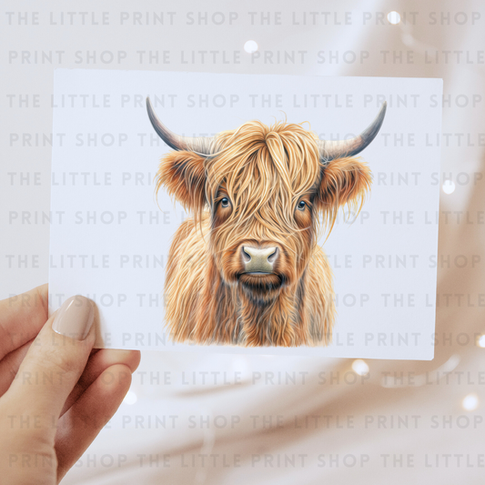 Highland Cow Billy - DTF Transfer Decal