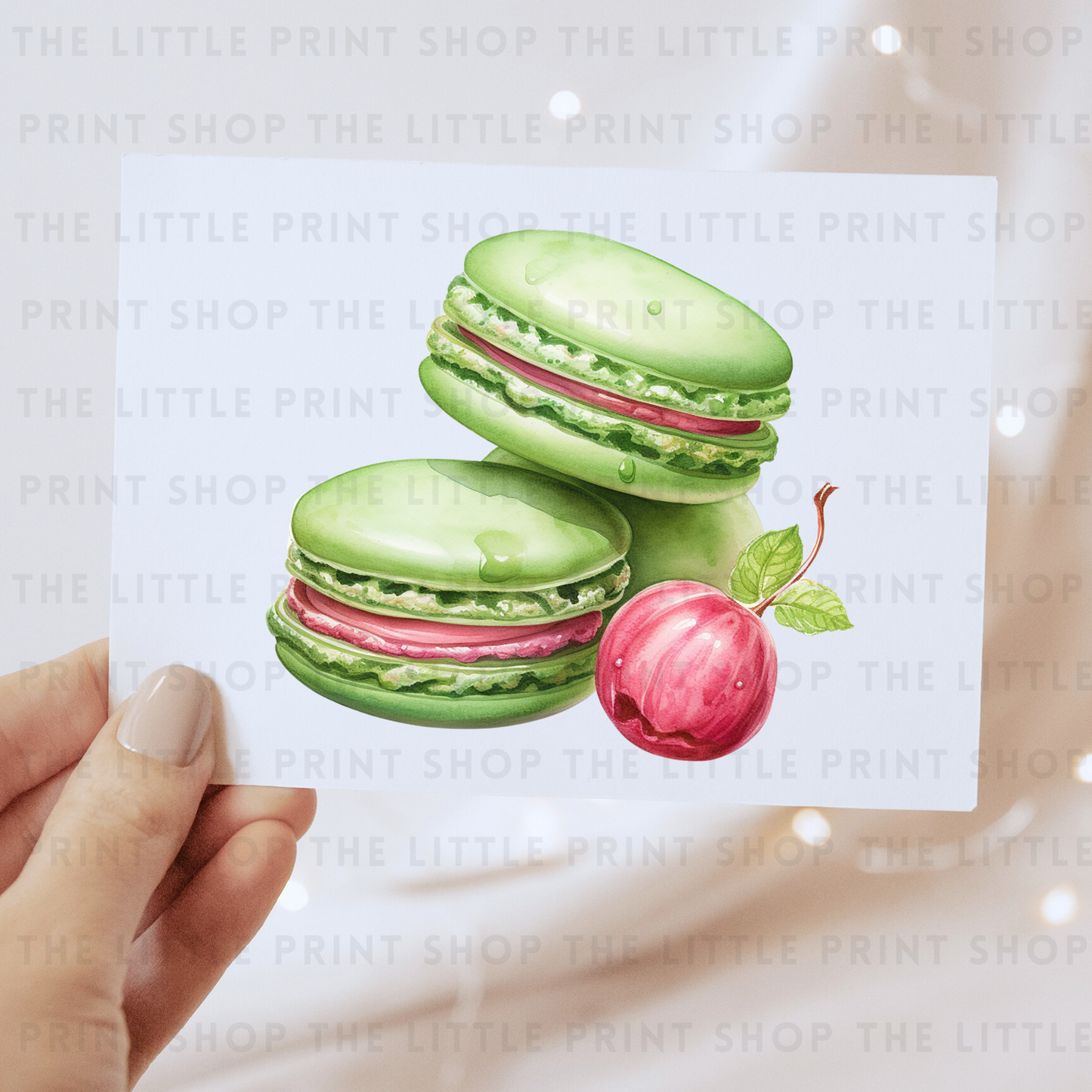 Macrons - DTF Transfer Decal