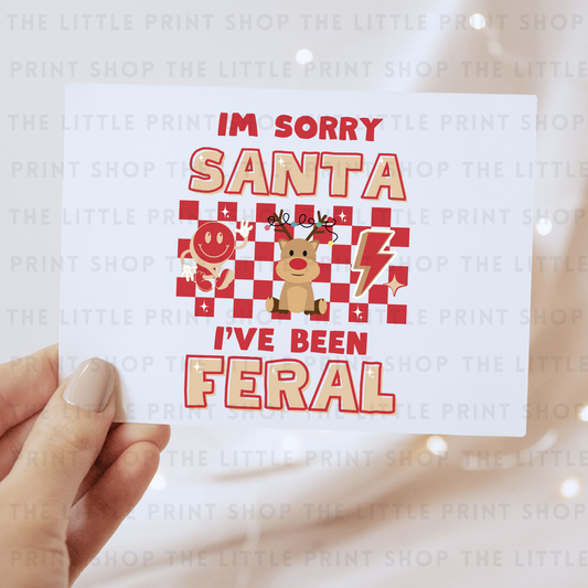 Sorry Santa - DTF Transfer Decal