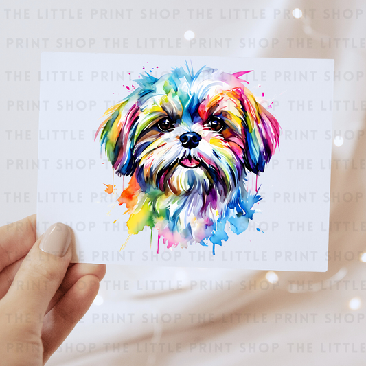 Shiatzu Paint Drip - DTF Transfer Decal
