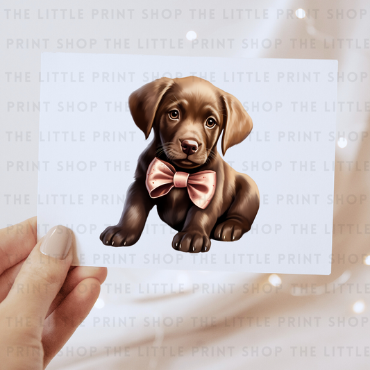 Dog Bow - DTF Transfer Decal