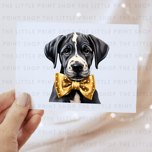 Dog Bow - DTF Transfer Decal