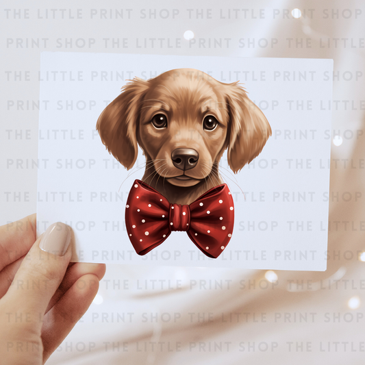 Dog Bow - DTF Transfer Decal