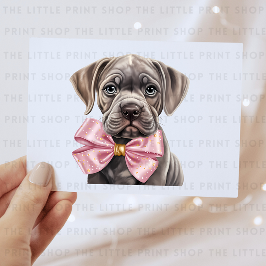 Dog Bow - DTF Transfer Decal