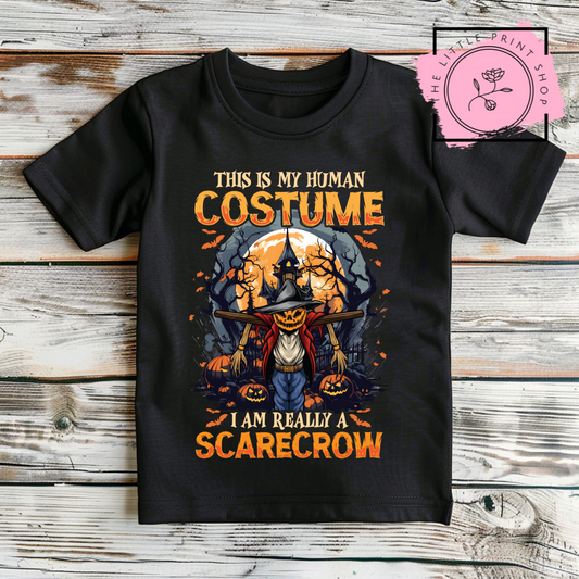 Scarecrow - DTF Transfer Decal