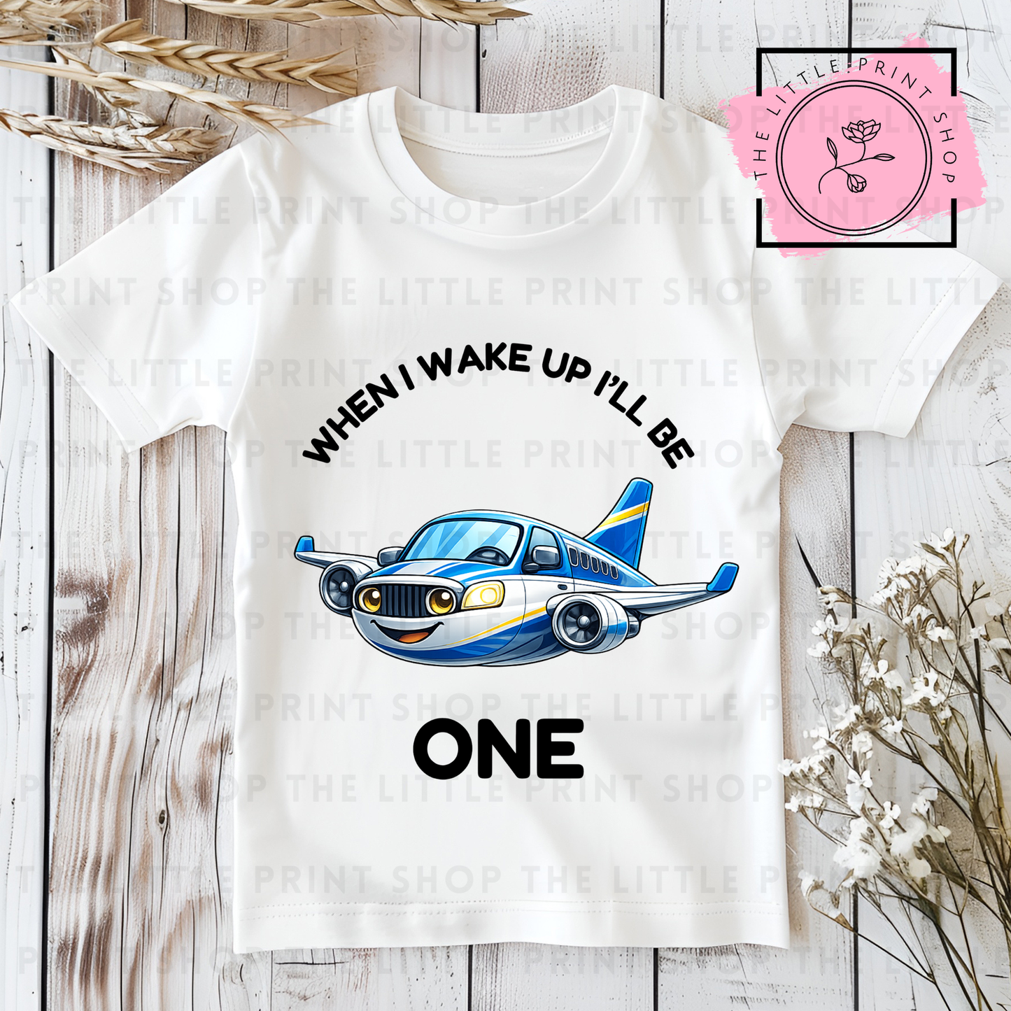 Aeroplane - Numbers 1 - 7 - DTF Transfer Decal