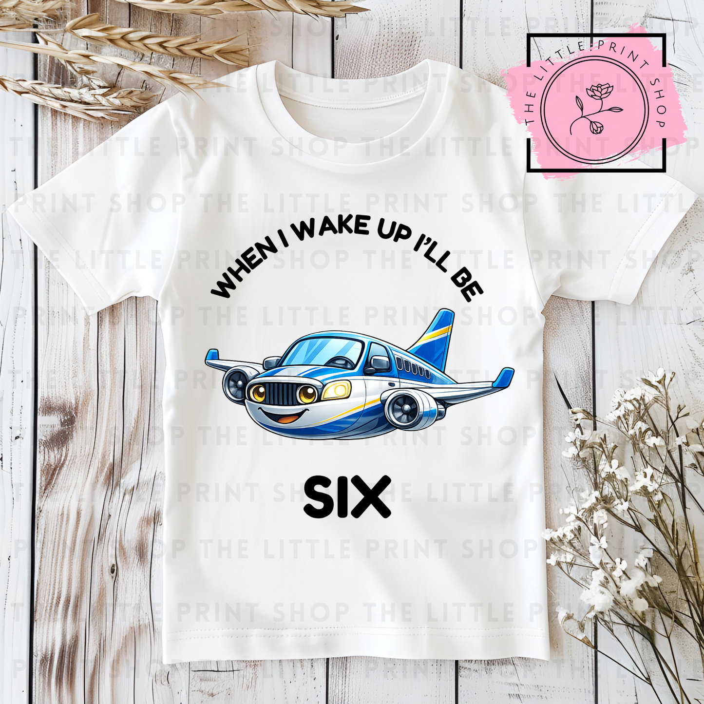 Aeroplane - Numbers 1 - 7 - DTF Transfer Decal
