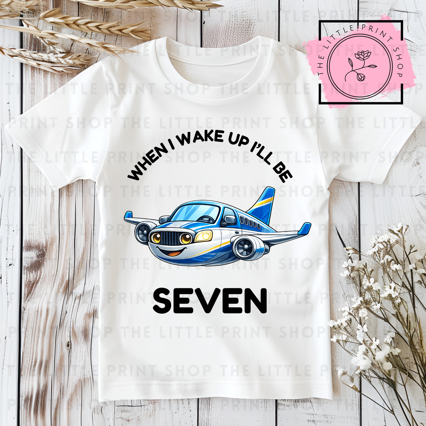 Aeroplane - Numbers 1 - 7 - DTF Transfer Decal