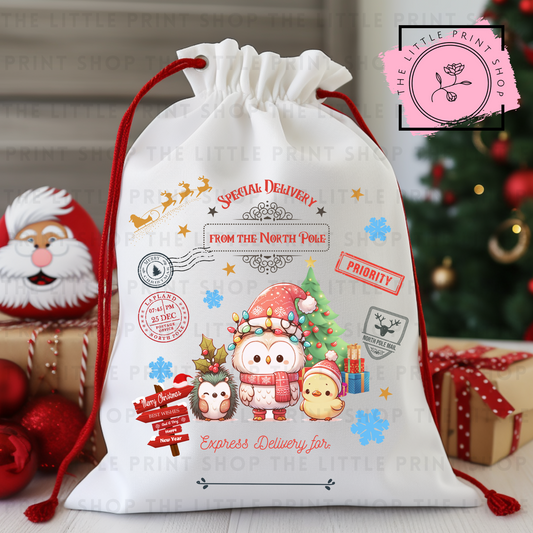 Owl Friends - DTF Christmas Sack Transfer