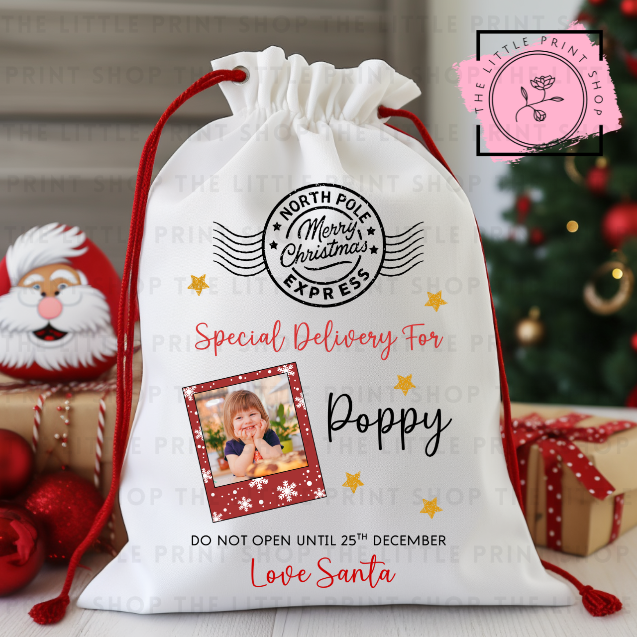 Special Delivery - Photo - DTF Christmas Sack Transfer