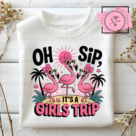 Girls Trip - DTF Transfer Decal